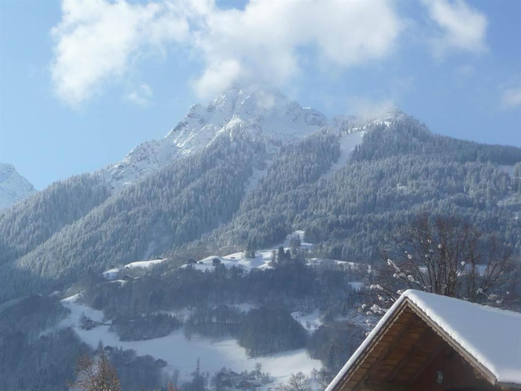 Appart Sauerwein Schruns Extérieur photo